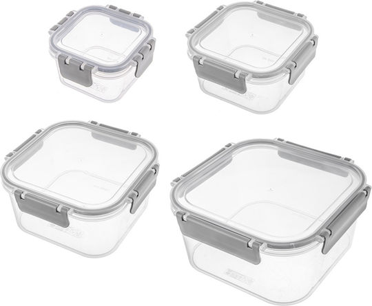 Orion Microwave Silicone Lunch Box Transparent 4pcs