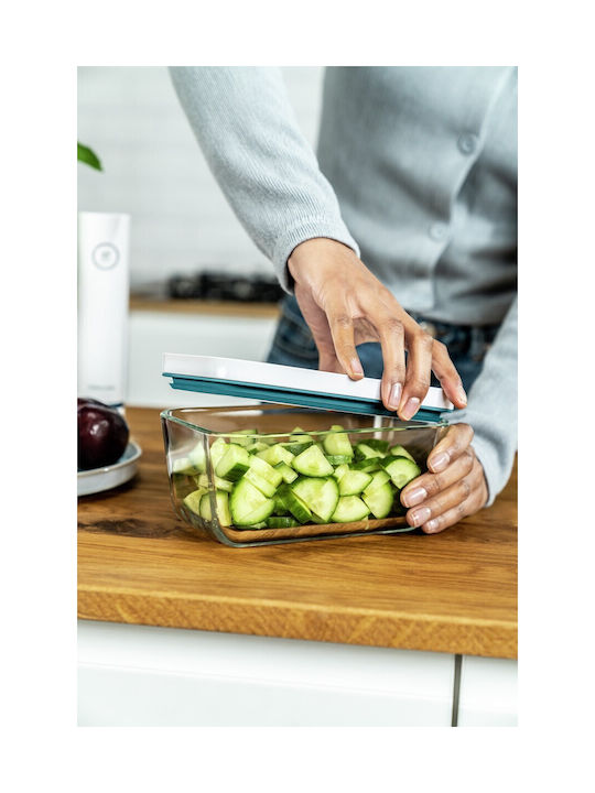 Zwilling J.A. Henckels Glas Mittagsboxen Transparente 18.6x11.5cm
