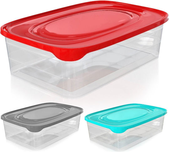 Viosarp Plastic Lunch Box Trendy Transparent 2000ml