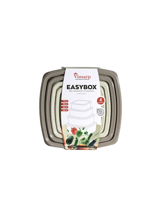 Viosarp Plastic Lunch Box Transparent 4pcs