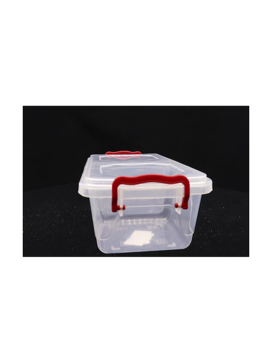 Welkhome Cutie pentru Mâncare Plastic Transparent 500ml 1buc