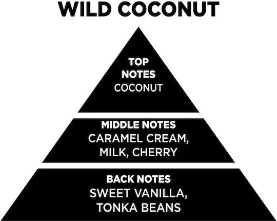 Reed Diffuser Wild Coconut 100ml Αρωματικό Χώρου