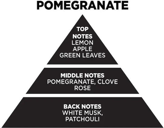 Wax Melts Cubes Pomegranate Handmade Soy Home Fragrance Cubes