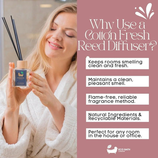 Fresh Diffuser mit Duft Zimt 100ml