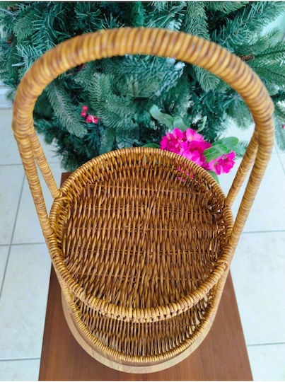 SteweHome Plastic Brown Storage Basket 4lt