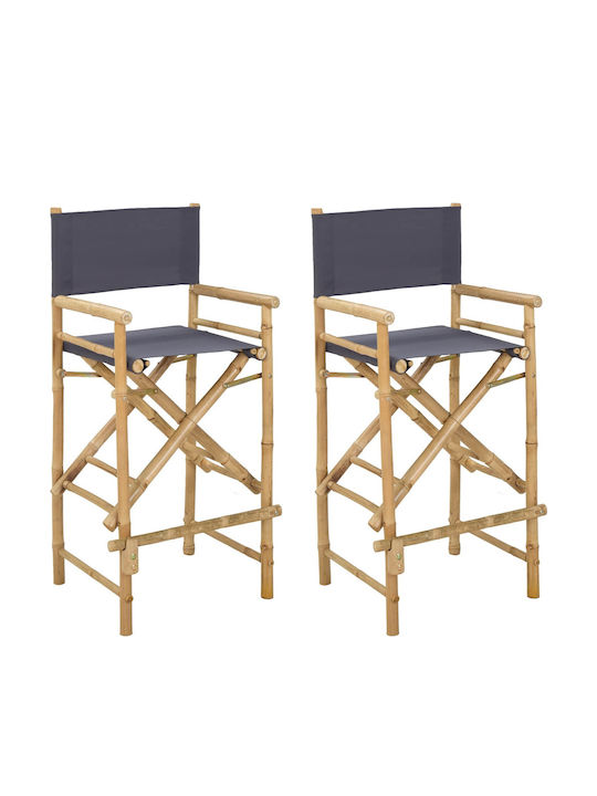 Wooden Director Chair Brown 2 Pieces