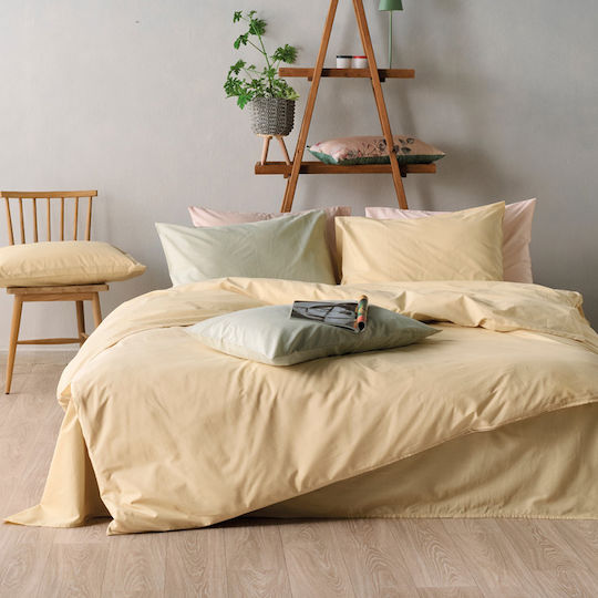 Kentia Essential