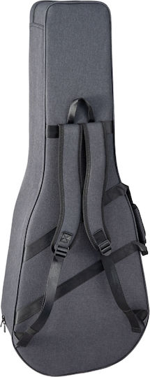 Takamine P3dc Dreadnought Natural Satin & Soft Case