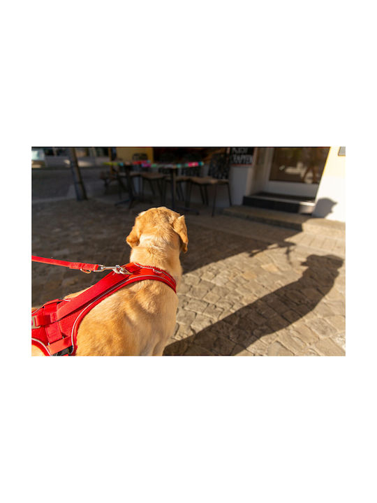 Кучешко Повод Curli Belka Comfort Harness M Кафяво