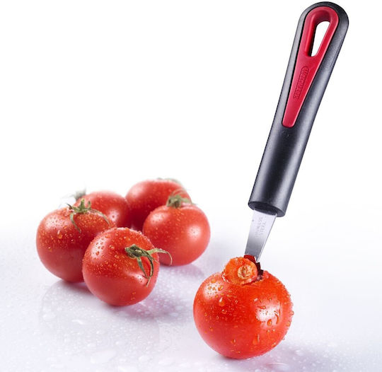 Westmark Carving Tool from Stainless Steel