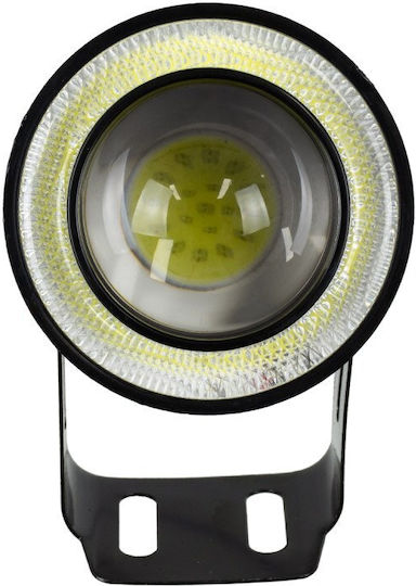 Motoflood Led Spotlight 30w/60w 3200lm/6400lm 45° Dc 12v Waterproof Ip65 Cool White 6000k Cree Cob