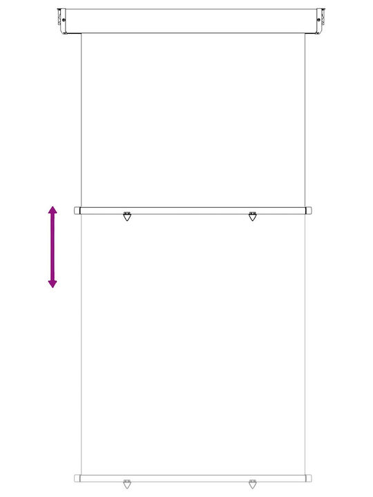 vidaXL Seitliche Markise Terrasse Grau 1.17x2.5m
