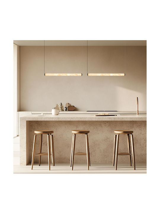 Zambelis Lights Black Pendant Light Rail