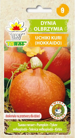 Toraf Kürbissamen 4gr