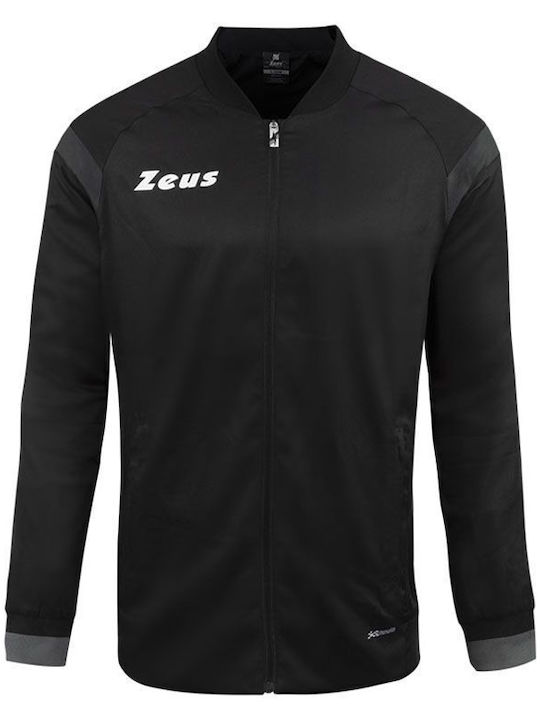 Zeus