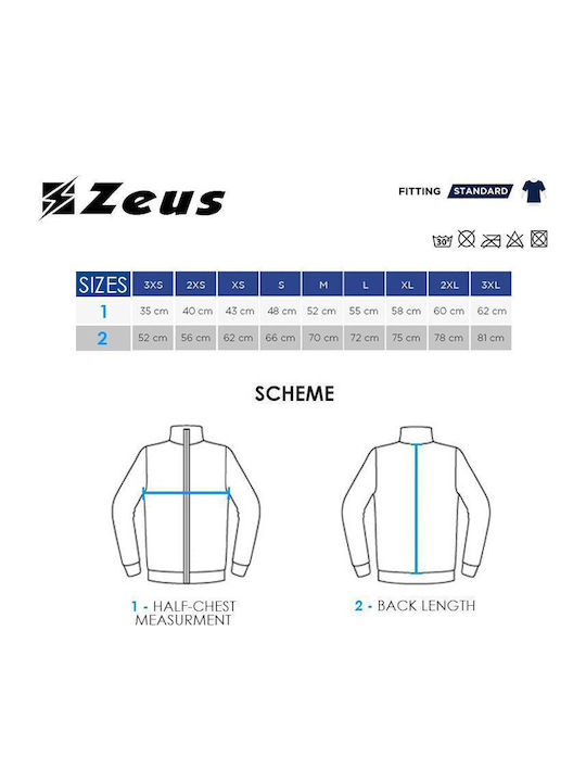 Zeus Zeus