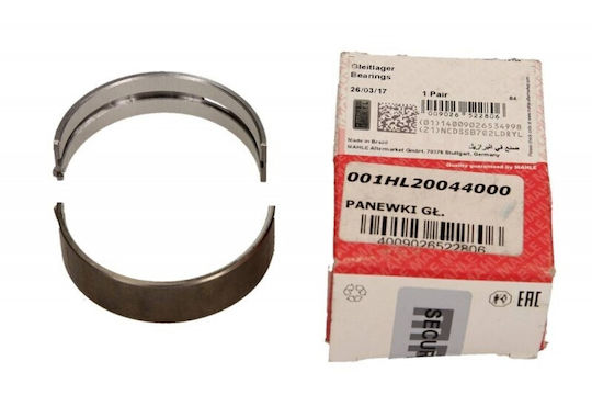 Mahle Main Bearings Crankshaft 001hl20044000 001hl20044000