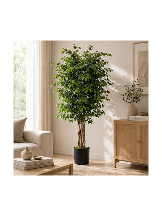 Künstliche Topfpflanze Ficus Benjamin Glässer 180cm Sds-25988