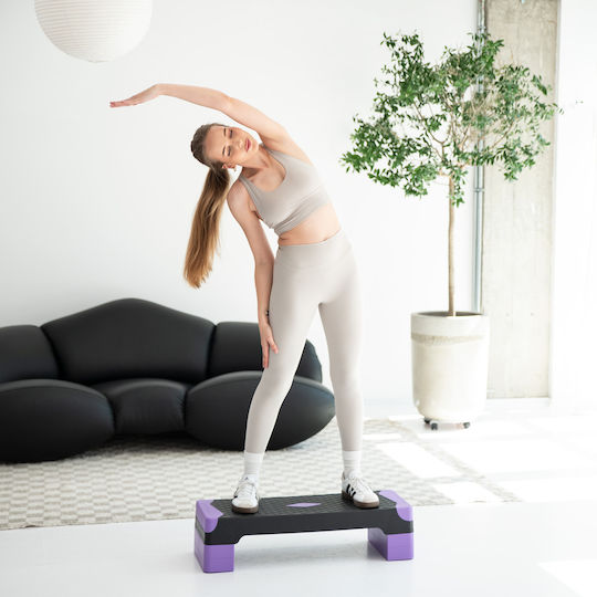 HMS Aerobic Stepper