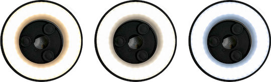 Eko Light Modern Wall Lamp with Integrated LED and Warm White Light Black 18x18x4.7cm