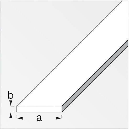 Flat Profile Aluminium Anodized 30 Mm 2 M Alfer Aluminium