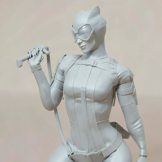 Άβαφη 3d Sammelbare Figuren Catwoman Rope Cat 3d Printing Models Βάψιμο Diy Δώρο Χρώματα 15,2 Cm 1:12