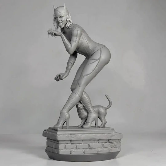 Unbemalte 3d Figur Catwoman V9 Aus Dc Bemalung Diy Geschenk Farben 20 Cm 1:8