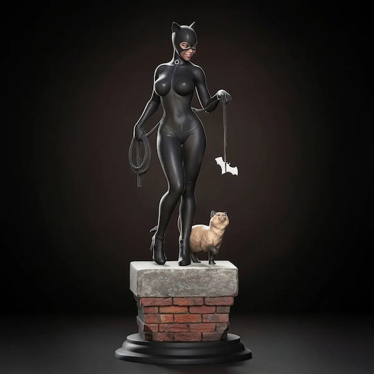 Unbemalte 3d Figur Catwoman V4 Aus Dc Bemalung Diy Geschenk Farben 30 Cm 1:6