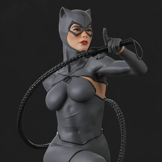 Unpainted 3D Sammelbare Figuren Catwoman Rope Aus Dc Bemalen Diy Geschenk Farben 20 Cm 1:8