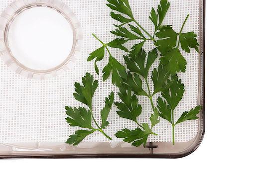 Eldom Food Dehydrator with Shelves