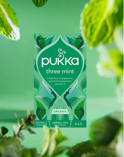 Pukka Bio-Tee Produkt Three 20 Taschen