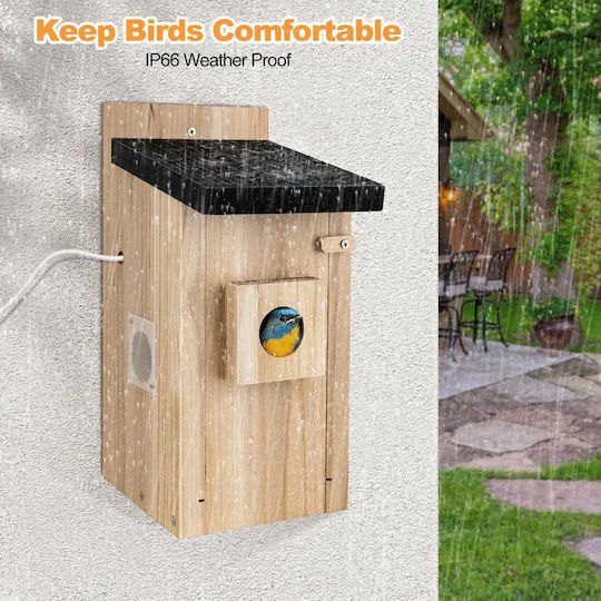 Smart Vogelhaus Kamera Regenbean Holz