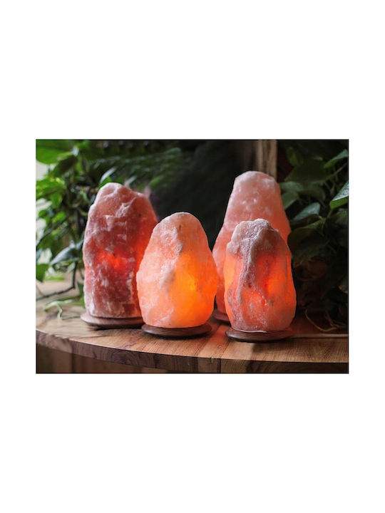 Himalayan Salt Stone Lamp E14 15 Watt 3–5 Kg Adjustable Lighting 21cm Aria Trade