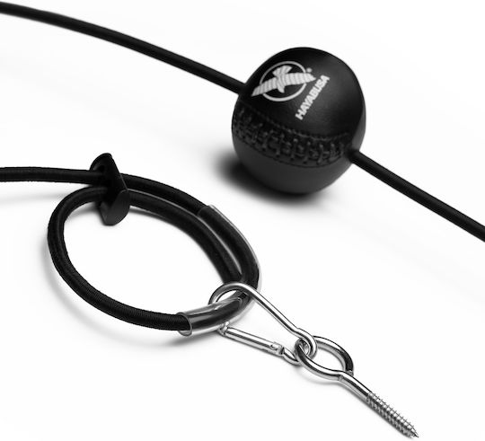 Hayabusa Kesnup Reflex-Ball Boxzubehör