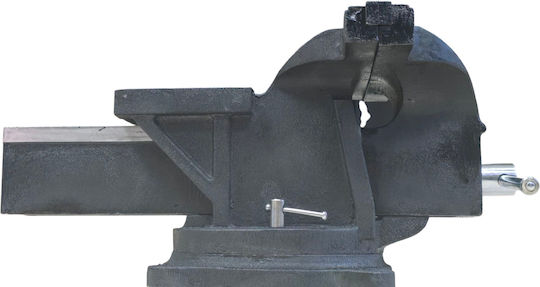 Bass Polska Drehbare Schraubstock Mechanisch aus Mangan mit Maximale Öffnung 250mm