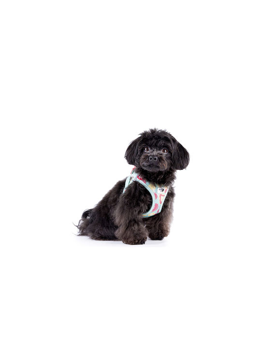 Dog Harness Curli Air Mesh Special Edition 2026 Large Red Stripes