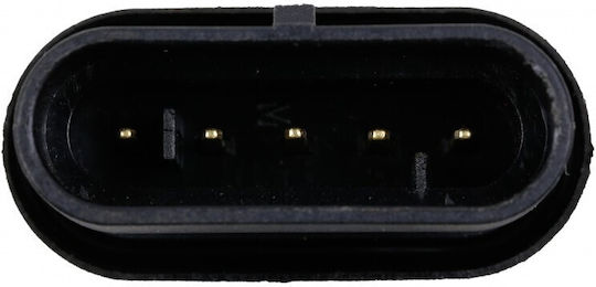 Wasser-Sensor Fiat Punkt Großer 05 Kraftstofffilter 5-polig 77363659