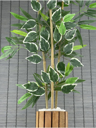 Stewehome Artificial Bamboo Plant Dense Leaves Benjamin Wooden Pot 3 Stems Beige 12x13 Cm