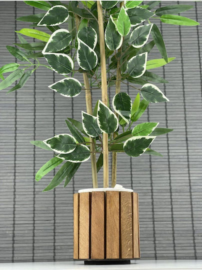 Stewehome Artificial Bamboo Plant Dense Leaves Benjamin Wooden Pot 3 Stems Beige 12x13 Cm