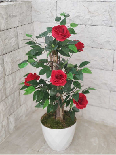 Stewehome S Rose Shrub White Luxury Pot Natural Appearance Red