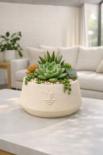 Stewehome Decorative Concrete Pot Cactus Succulents Bonsai Cream 15x10 Cm