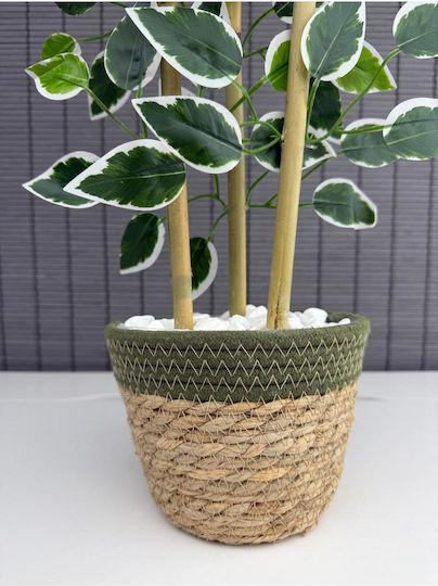 Stewehome Decorative Benjamin Tree Woven Straw Pot Cotton Fabric 3 Trunks Green 16x12x8 Cm