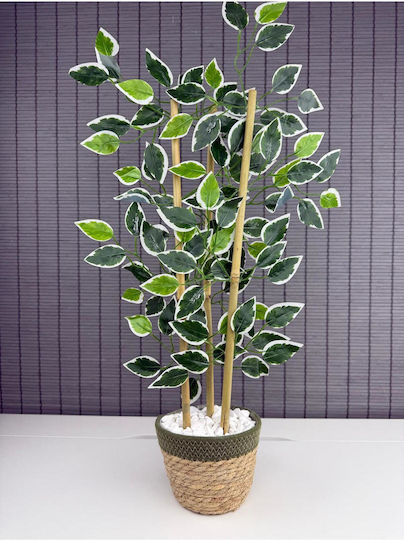 Stewehome Decorative Benjamin Tree Woven Straw Pot Cotton Fabric 3 Trunks Green 16x12x8 Cm
