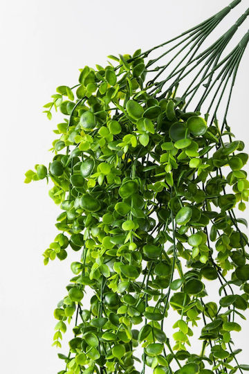 SteweHome Dekorative Künstliche Efeu Eukalyptus Set 3 Stücke Grün
