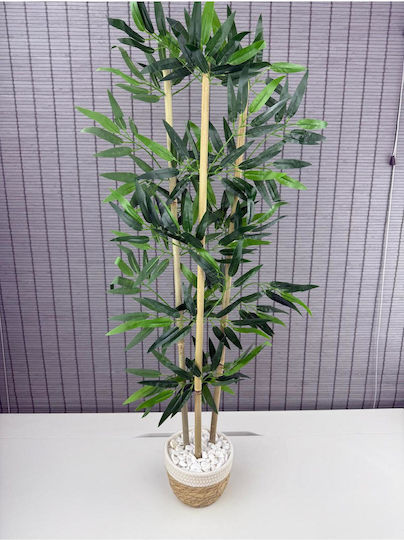 Stewehome Dekoratives Bambusbaum Geflochtene Korb Pflanzgefäß Weiß Baumwolle 3 Stämme Weiß 16x12x81 cm
