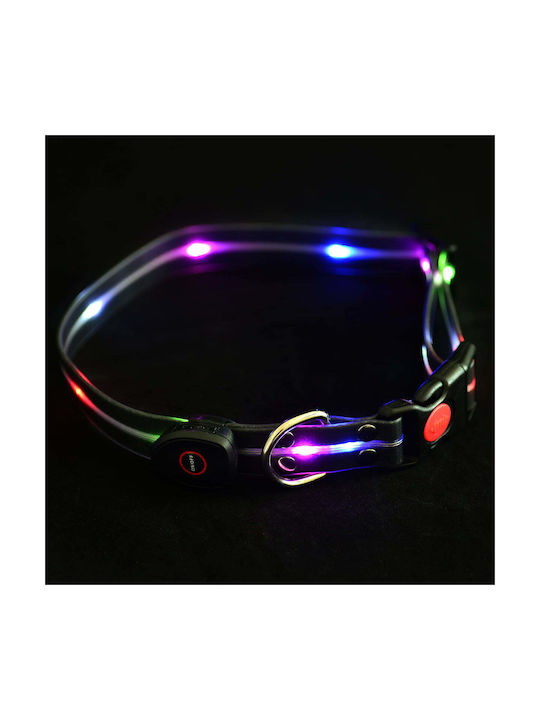 Petigio Led Κολαρο Σκυλου Mεdium 41–50 Cm