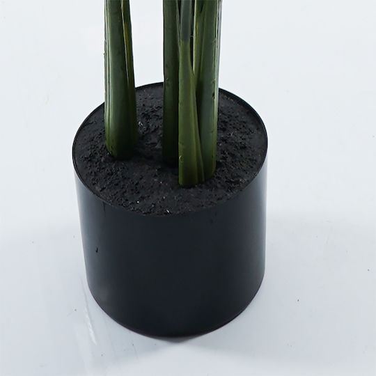 Decorative Potted Plant Calathea Inart Green Φ 68x68x120 Cm Decorative Potted Plant Calathea Inart Green Φ 68x68x120 Cm