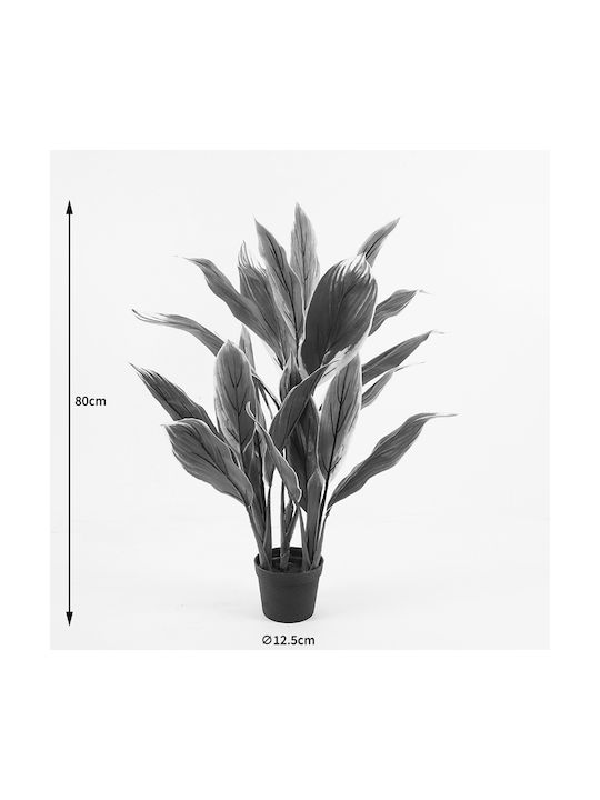 Decorative Potted Plant Cycas Inart Green Φ 55x55x80 Cm
