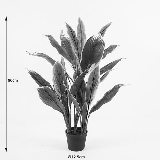 Decorative Potted Plant Cycas Inart Green Φ 55x55x80 Cm