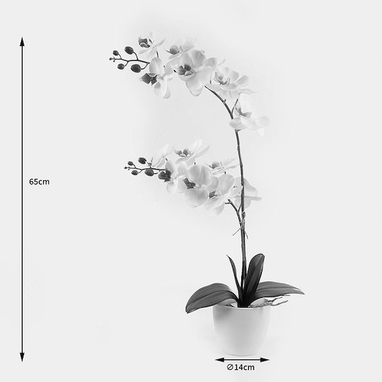 Plantă Decorativă în Ghiveci Orhidee Albă Inart 36x17x65 Cm